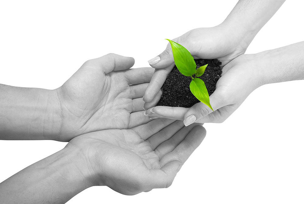 ddos压力在线测试平台